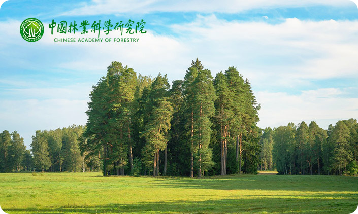 中国林业科学研究院