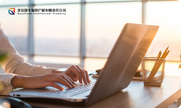 北京国专知识产权有限责任公司