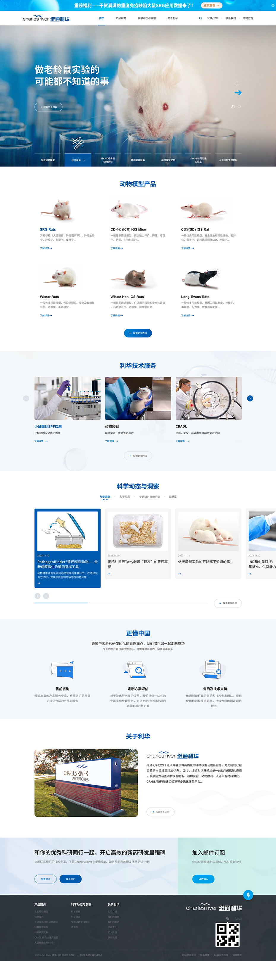 定制网站首页设计