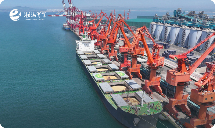 山东渤海实业集团