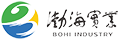 山东渤海实业